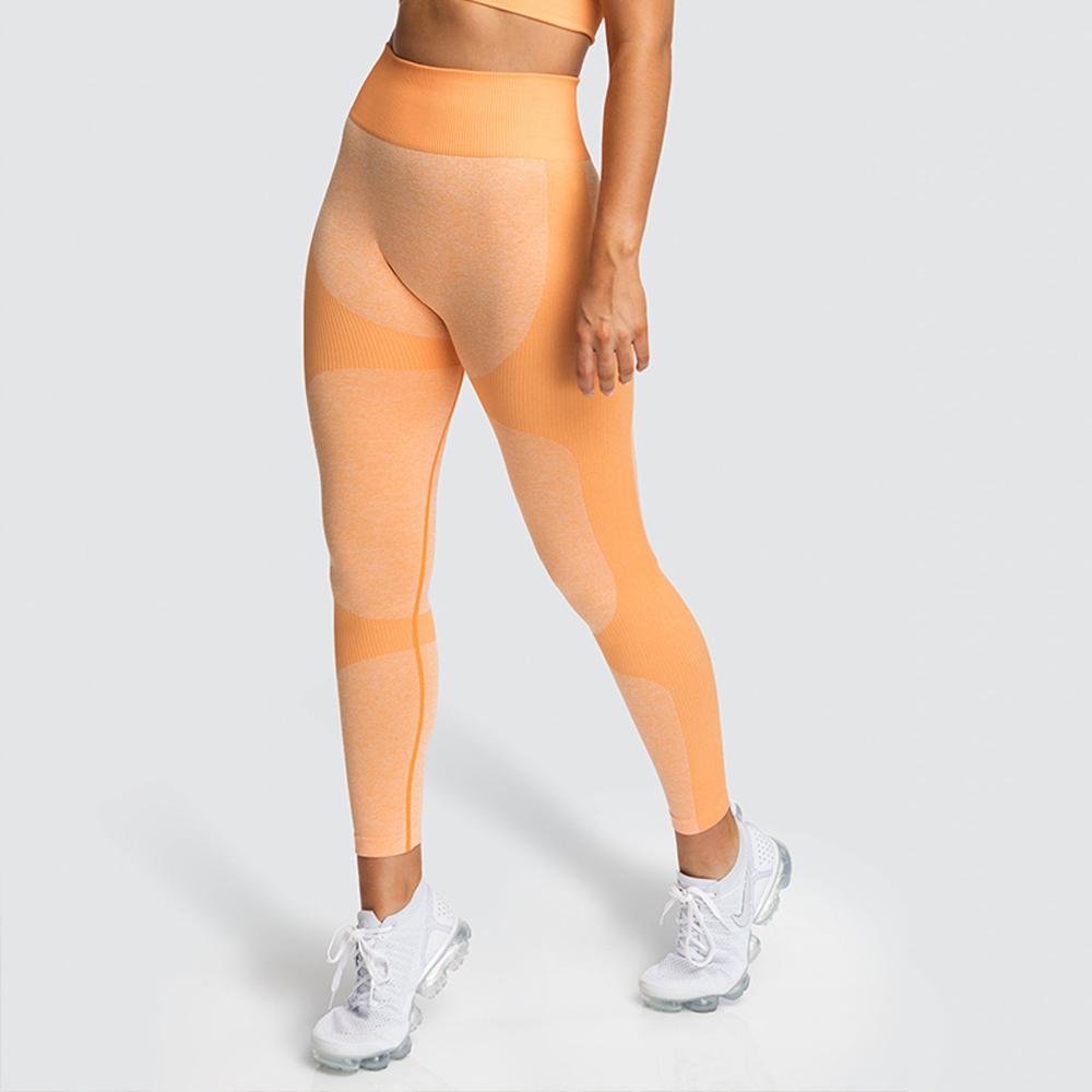 High Waist Athletic Seamless Yoga Leggings And Stretch Sports Bra - Salim Fashion